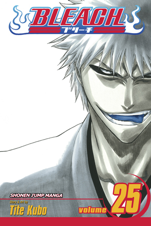 Bleach, Vol. 25 Image